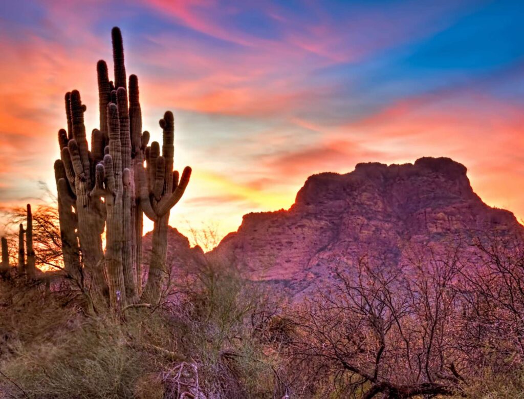 A beautiful scenery along with cactus plant and a rock